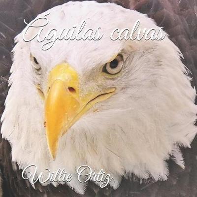 Book cover for Águilas calvas