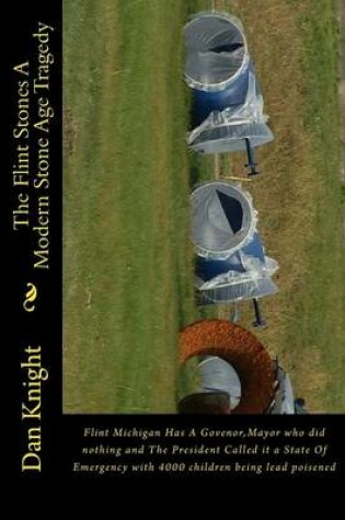 Cover of The Flint Stones a Modern Stone Age Tragedy