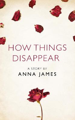 Book cover for How Things Disappear