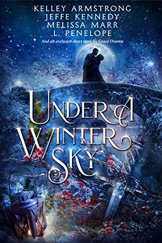 Book cover for Under a Winter Sky