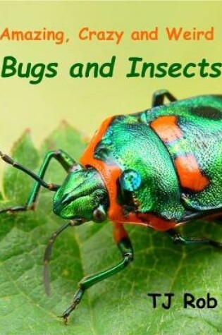 Cover of Amazing, Crazy and Weird Bugs and Insects