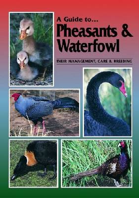 Cover of Pheasants and Waterfowl