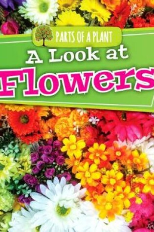 Cover of A Look at Flowers
