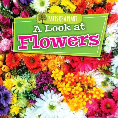 Cover of A Look at Flowers