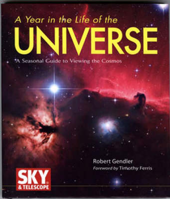 Book cover for A Year in the Life of the Universe