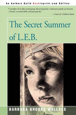 Book cover for The Secret Summer of L.E.B.