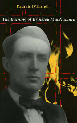 Book cover for The Burning of Brinsley MacNamara