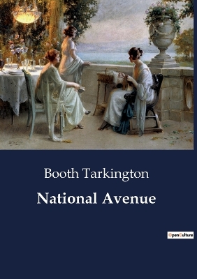 Book cover for National Avenue