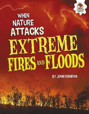 Book cover for Extreme Fires and Floods