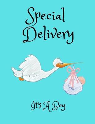 Book cover for Special Delivery