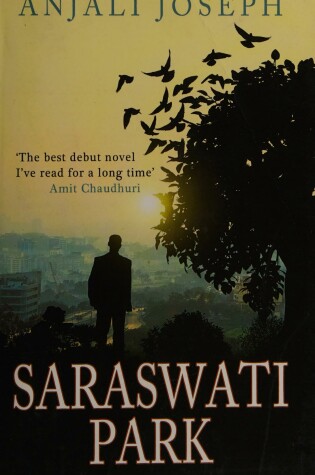 Cover of Saraswati Park