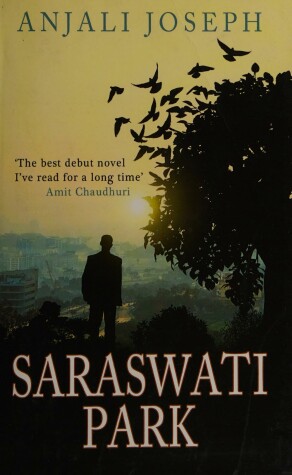 Book cover for Saraswati Park
