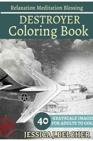 Cover of Destroyer Coloring Books