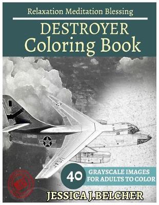 Book cover for Destroyer Coloring Books