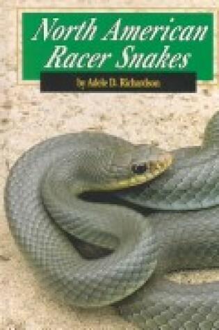 Cover of North American Racer Snakes
