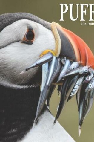 Cover of Puffin