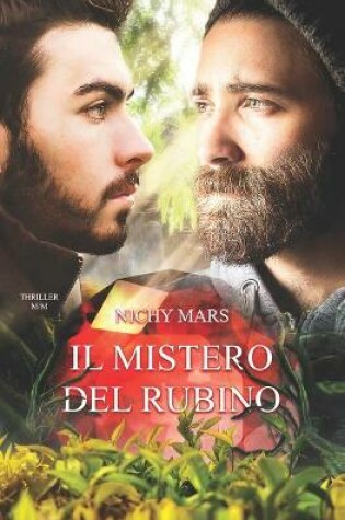 Cover of Il Mistero del Rubino