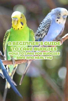 Book cover for A Beginner's Guide To Care Budgies