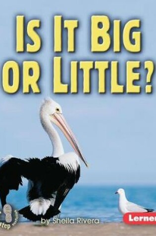 Cover of Is It Big or Little?