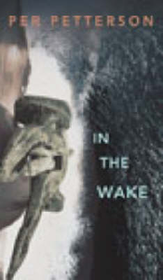 Book cover for In the Wake