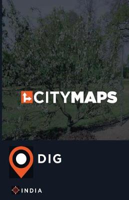 Book cover for City Maps Dig India