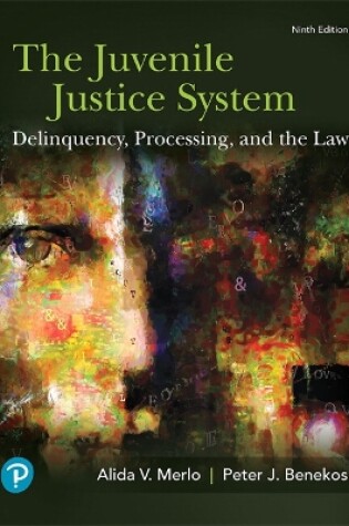 Cover of Juvenile Justice System, The