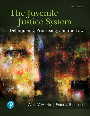 Book cover for Juvenile Justice System, The