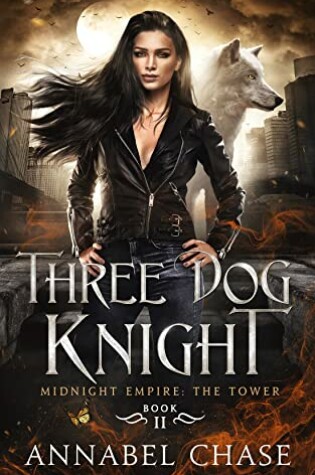 Cover of Three Dog Knight