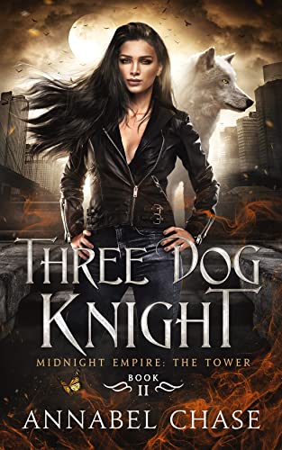 Book cover for Three Dog Knight