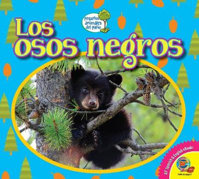 Book cover for Los Osos Negros