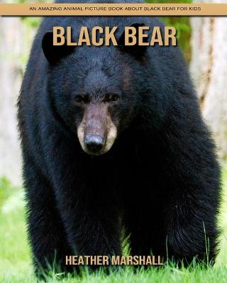 Book cover for Black Bear