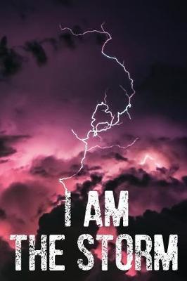 Book cover for I Am The Storm