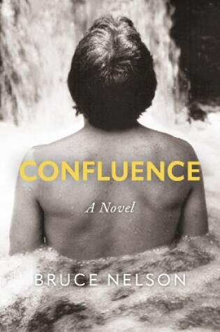 Cover of Confluence