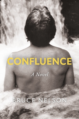 Book cover for Confluence