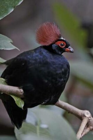 Cover of Crested Wood Partridge Journal
