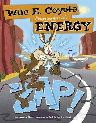 Book cover for Experiments with Energy