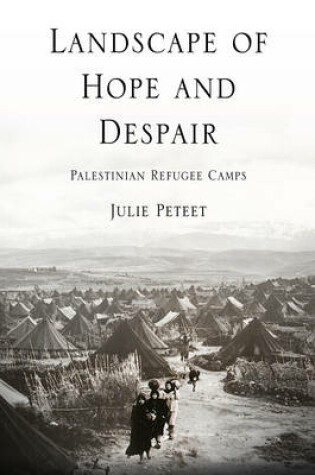 Cover of Landscape of Hope and Despair