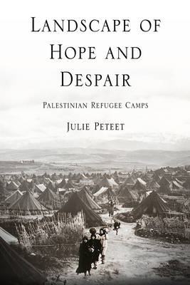 Cover of Landscape of Hope and Despair