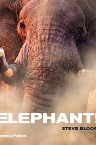 Cover of Elephant!