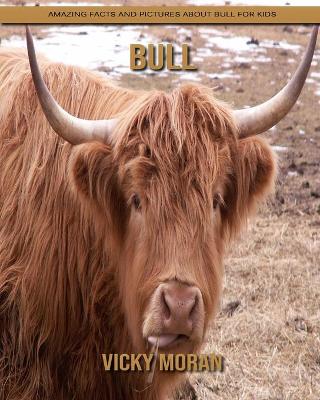 Book cover for Bull