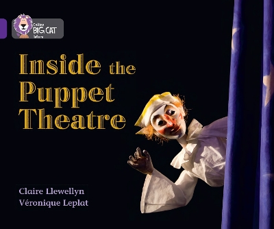 Book cover for Inside the Puppet Theatre