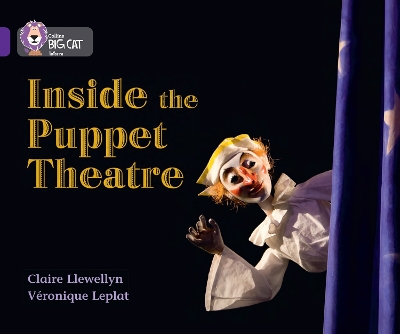 Cover of Inside the Puppet Theatre