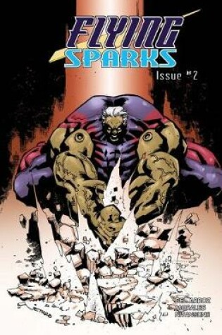 Cover of Flying Sparks Issue #2