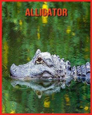 Book cover for Alligator