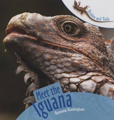 Cover of Meet the Iguana