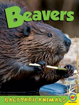 Book cover for Beavers