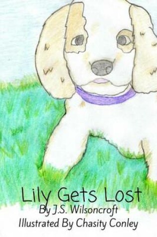 Cover of Lily Gets Lost