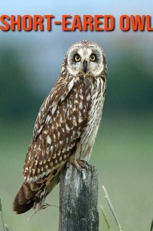 Cover of Short-Eared Owl