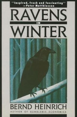 Cover of Ravens in Winter