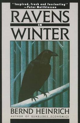 Book cover for Ravens in Winter